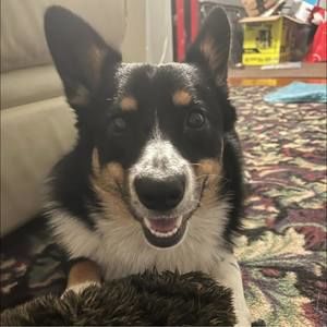 Meet your Posher, Terry